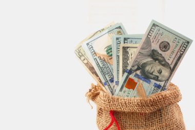 dolar, ekonomik büyüme ve başarı sembolü olarak çantada