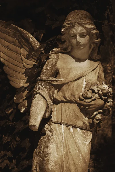 Imagen vintage de un ángel triste en un cementerio contra el fondo —  Fotos de Stock