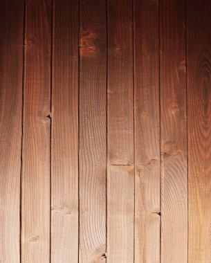 ağaç doku detay eski kabuğu