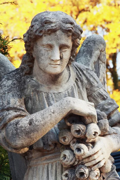 Angel as a symbol of faith, kindness and love — Stock Photo, Image