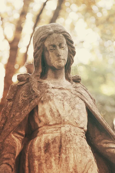 Statue Of Virgin Mary — Stock Photo, Image