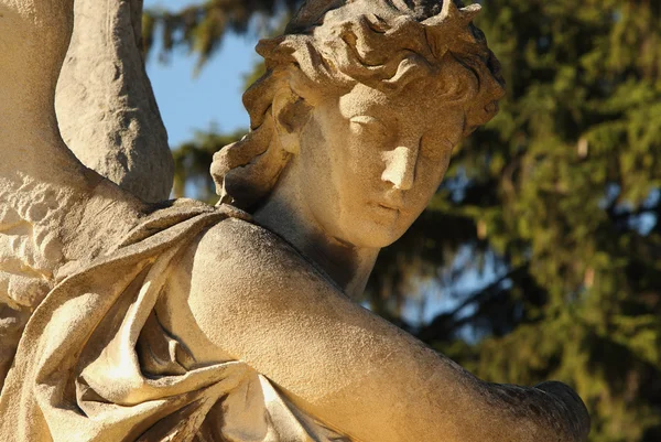 Богиня любви Афродита (Венера) ) — стоковое фото