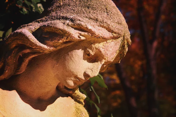 Bogini miłości Afrodyta (Wenus) — Zdjęcie stockowe