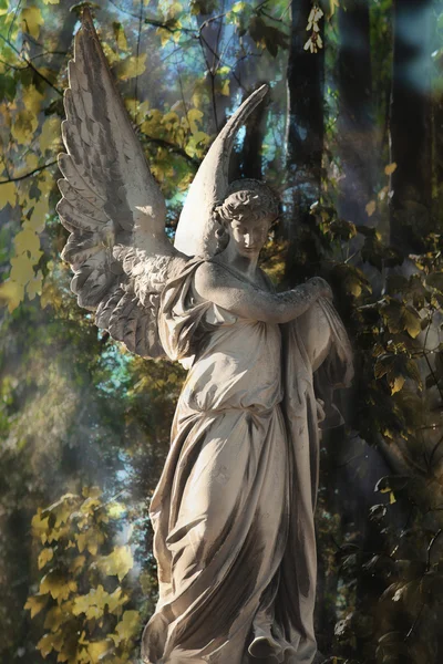 Majestosa vista da estátua do anjo dourado iluminado pela luz solar — Fotografia de Stock