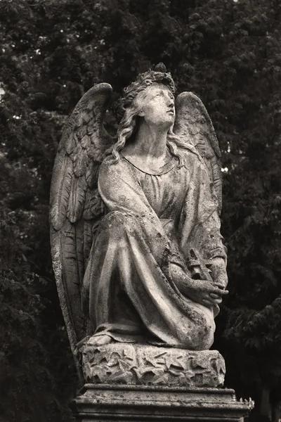 Anjo como símbolo de fé, bondade e amor — Fotografia de Stock