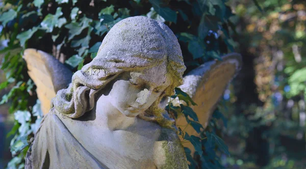 Vintage obraz smutný anděl na hřbitov proti poz — Stock fotografie