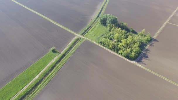 Vista aérea de los campos agrícolas — Vídeo de stock