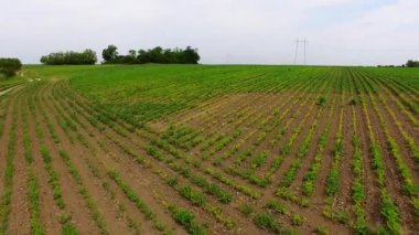 Tarım alanlarının havadan görünüşü