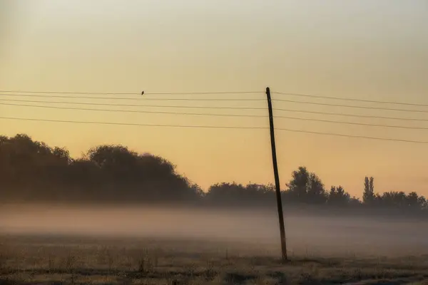 Matin Automne Croustillant Dehors Village Voïvodine Serbie — Photo