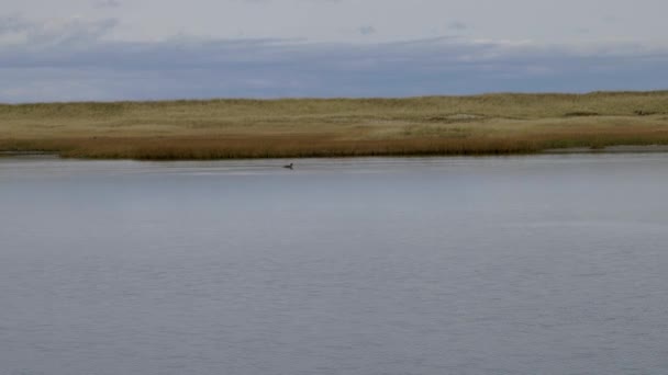 Lugn Molnig Dag Vid Nantucket Pond Massachusetts — Stockvideo