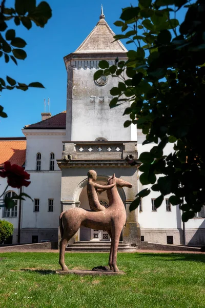 Antico Castello Fantast Storico Abbandonato Vicino Becej Serbia — Foto Stock