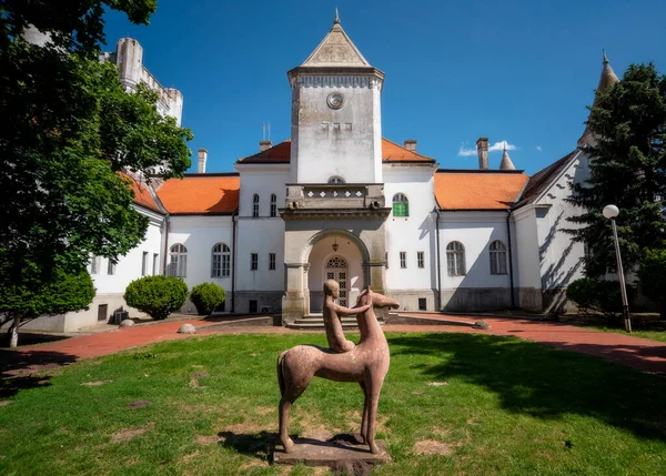 Antico Castello Fantast Storico Abbandonato Vicino Becej Serbia — Foto Stock