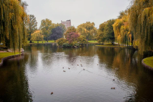 Foliage Parco Pubblico Boston Common Autunno Nebbioso Giorno Ottobre — Foto Stock