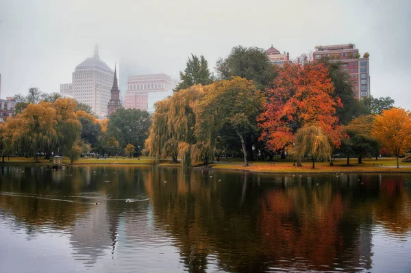 Feuillage Parc Public Boston Journée Brumeuse Automne Octobre — Photo