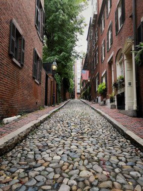 Boston Beacon Hill bölgesinde tipik evler. Sonbaharda tarihi şehir merkezi sahnesi. Meşe palamudu.