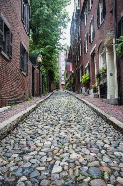 Boston Beacon Hill bölgesinde tipik evler. Sonbaharda tarihi şehir merkezi sahnesi. Meşe palamudu.