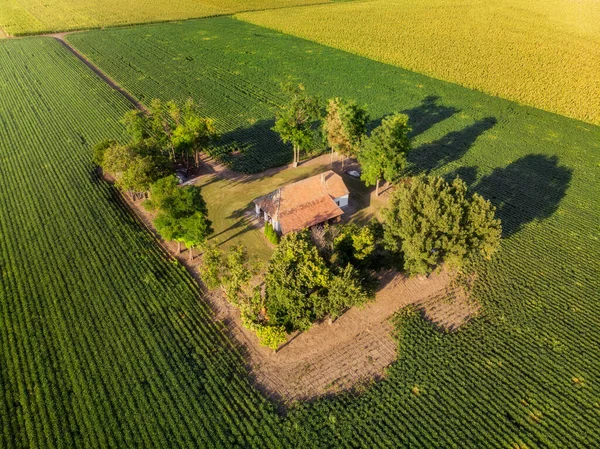 Fazenda Final Verão Por Sol Campos Agrícolas Paisagem Vojvodina Voo Fotos De Bancos De Imagens Sem Royalties