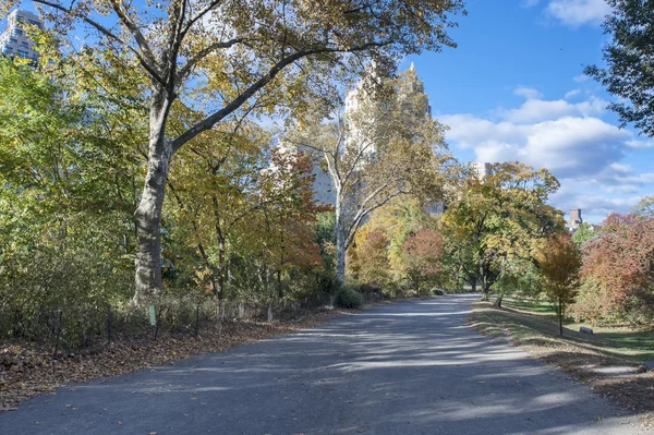 Sen høst ettermiddag i Central Park – stockfoto