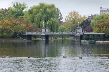 Boston kamu bahçeleri Boston, Massachuse köprüsünde Lagoon