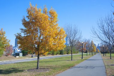 Özgürlük State Park New Jersey City