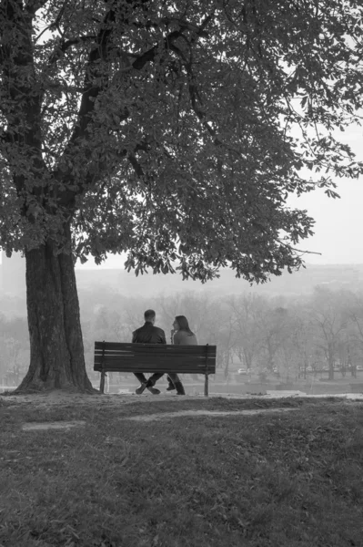 Pareja romántica sentado en el banco —  Fotos de Stock