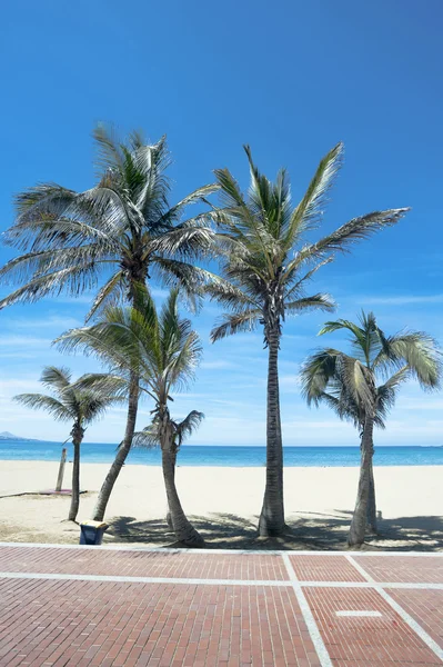 Un día en la playa — Foto de Stock