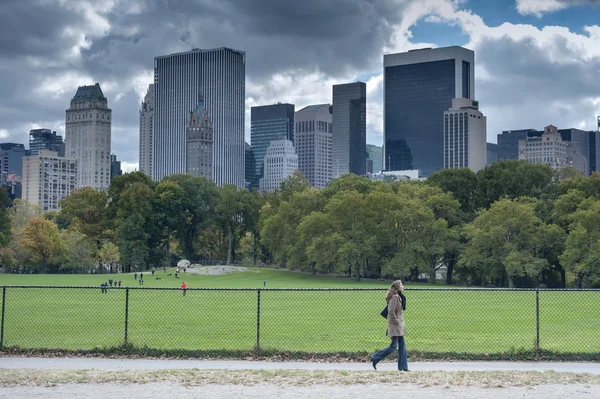 New York City Manhattan skyline panorama viewed from Central Par — Stock Photo, Image