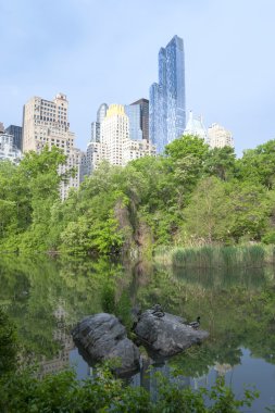 New York'taki Central Park günbatımı