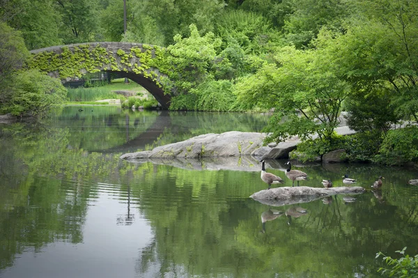 New York City Central Park – stockfoto