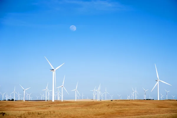 Éoliennes sur les collines du coucher du soleil en Californie — Photo