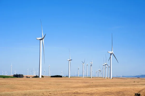 Éoliennes sur les collines du coucher du soleil en Californie — Photo