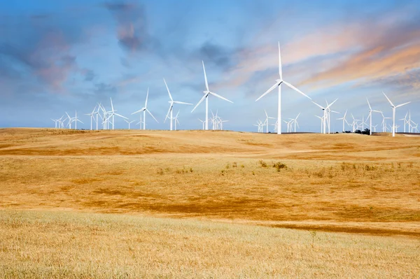 Éoliennes sur les collines du coucher du soleil en Californie — Photo