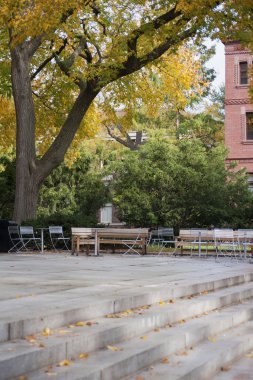 Harvard University campus
