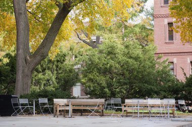 Harvard University campus