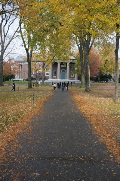 Campus de la Universidad Harvard — Foto de Stock