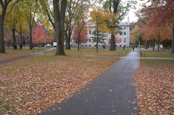 Campus de la Universidad Harvard — Foto de Stock