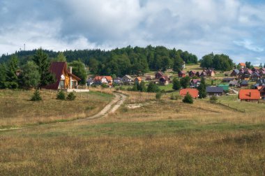 Yaz sonunda Dağ Köyü, Dağ Kulübesi. Doğa manzaralı solucan gibi rahat evler. Sekulici köyü, Tara Mountin, Sırbistan