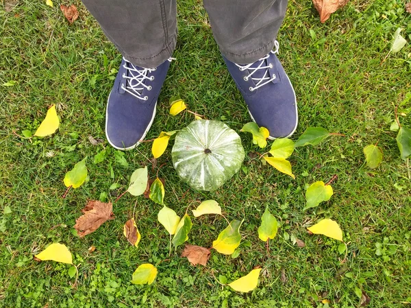 Otoño otoño estado de ánimo — Foto de Stock