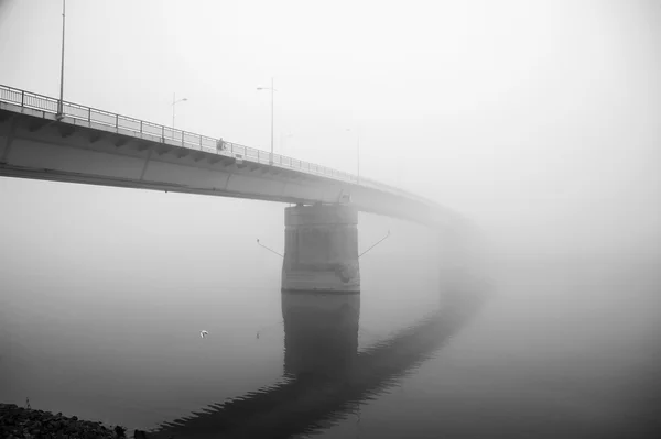 Sis içinde köprü — Stok fotoğraf