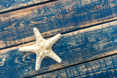 ahşap zemin üzerinde deniz yıldızı
