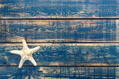 ahşap zemin üzerinde deniz yıldızı