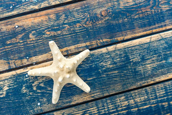 ahşap zemin üzerinde deniz yıldızı