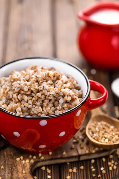 Porridge di grano saraceno bollito — Foto Stock