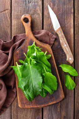 kuzukulağı taze yaprakları