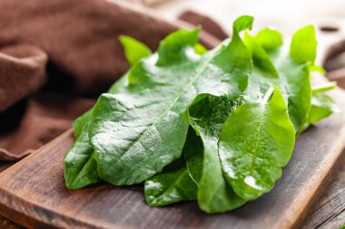 kuzukulağı taze yaprakları