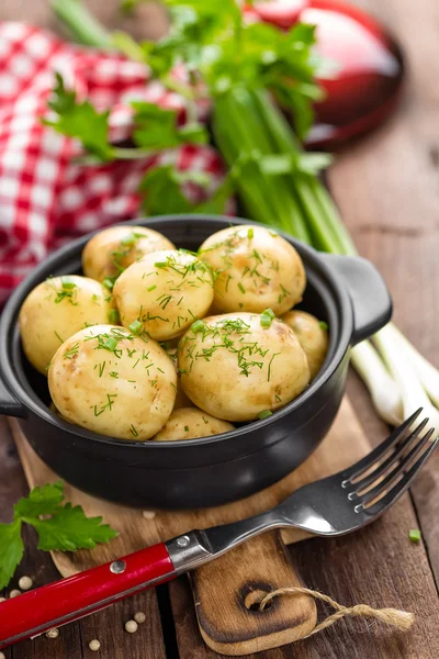 Nieuwe gekookte aardappel — Stockfoto