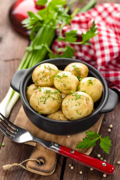 Nieuwe gekookte aardappel — Stockfoto