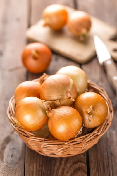 Cebolla fresca cruda —  Fotos de Stock