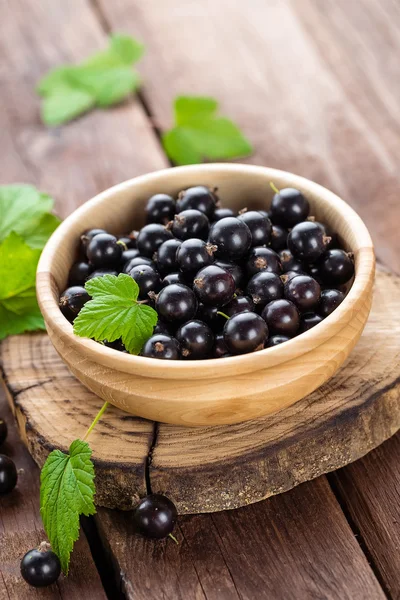 Frische schwarze Johannisbeere — Stockfoto