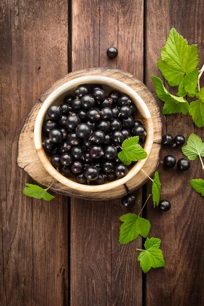 Fresh black currant — Stock Photo, Image